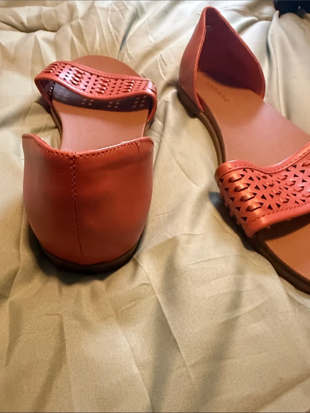 Andiamo comfortable coral